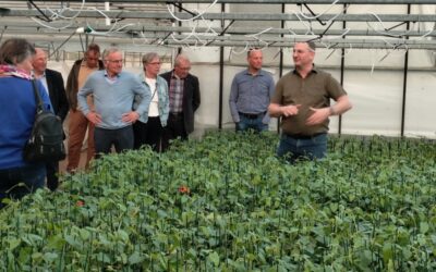 75+ Club te gast bij De Zonnebloem